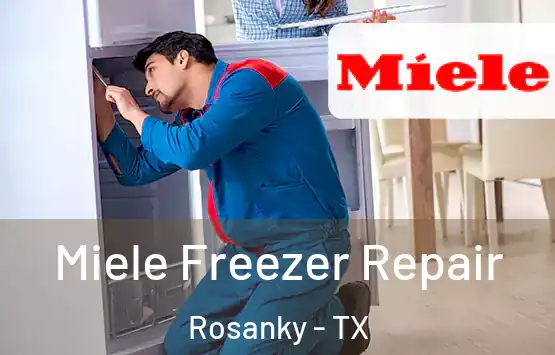  Miele Freezer Repair Rosanky - TX