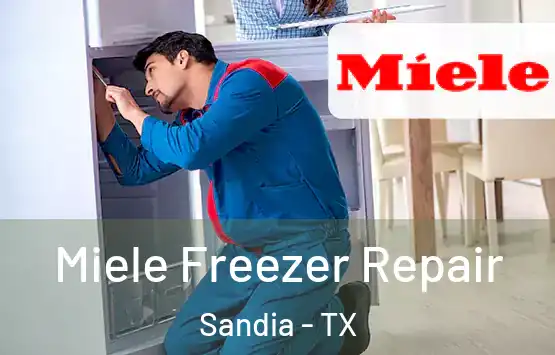  Miele Freezer Repair Sandia - TX