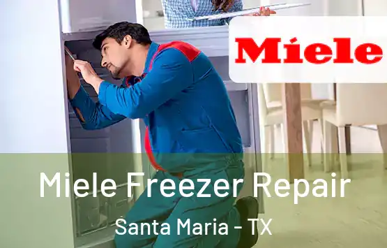  Miele Freezer Repair Santa Maria - TX