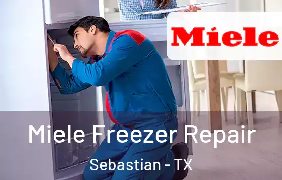  Miele Freezer Repair Sebastian - TX