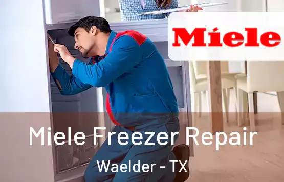  Miele Freezer Repair Waelder - TX
