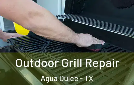  Outdoor Grill Repair Agua Dulce - TX