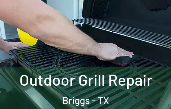  Outdoor Grill Repair Briggs - TX