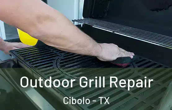  Outdoor Grill Repair Cibolo - TX