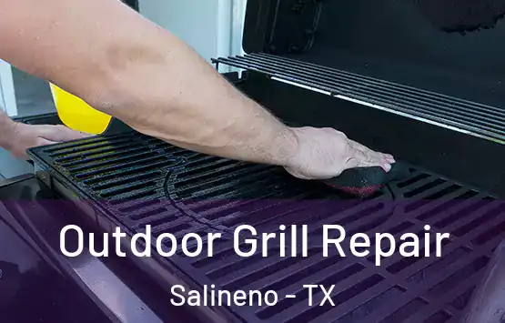  Outdoor Grill Repair Salineno - TX
