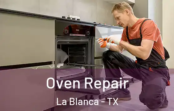  Oven Repair La Blanca - TX