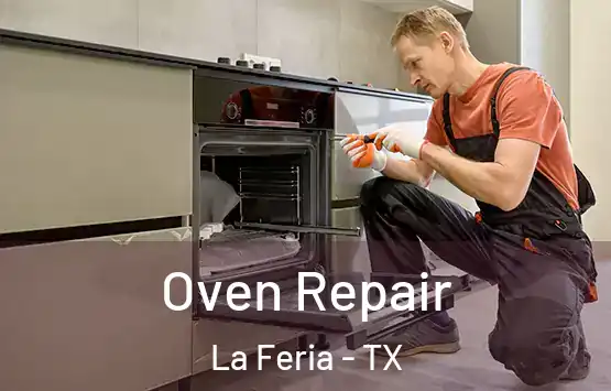  Oven Repair La Feria - TX