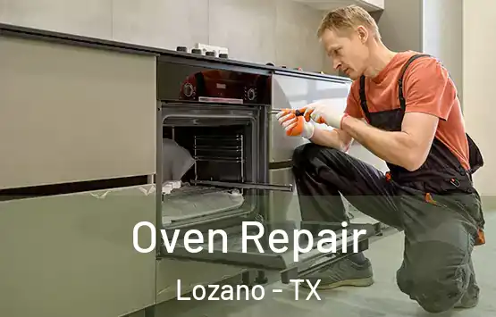  Oven Repair Lozano - TX