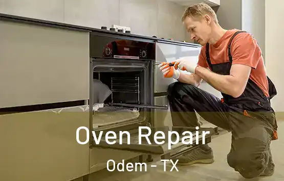  Oven Repair Odem - TX