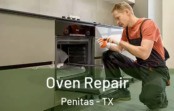  Oven Repair Penitas - TX