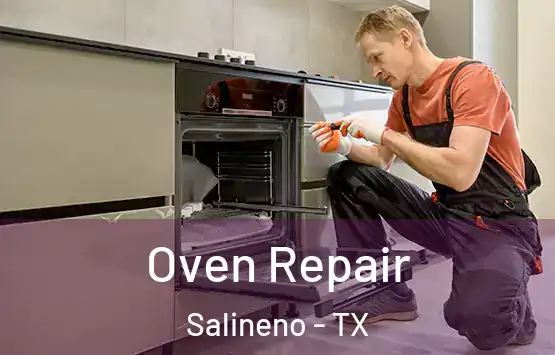  Oven Repair Salineno - TX