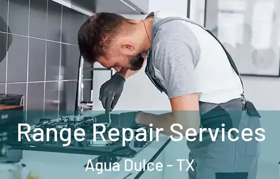  Range Repair Services Agua Dulce - TX