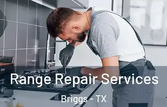  Range Repair Services Briggs - TX