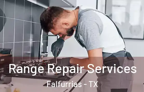  Range Repair Services Falfurrias - TX