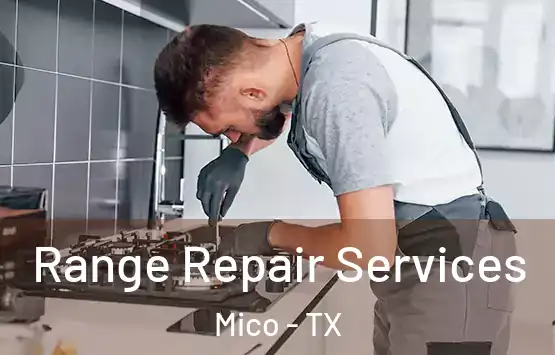  Range Repair Services Mico - TX