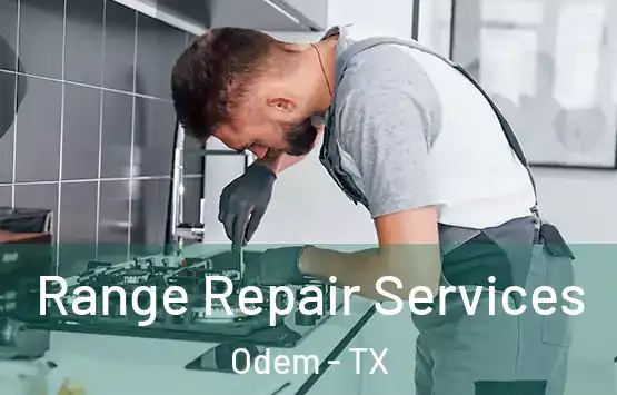  Range Repair Services Odem - TX