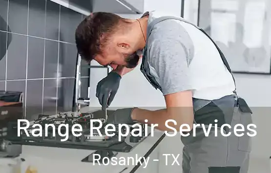  Range Repair Services Rosanky - TX
