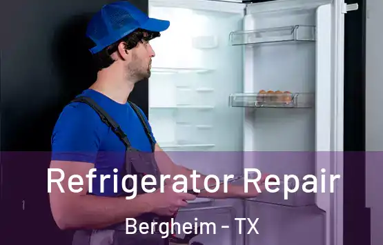  Refrigerator Repair Bergheim - TX