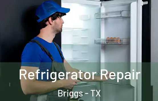  Refrigerator Repair Briggs - TX