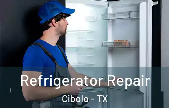  Refrigerator Repair Cibolo - TX