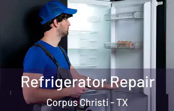  Refrigerator Repair Corpus Christi - TX