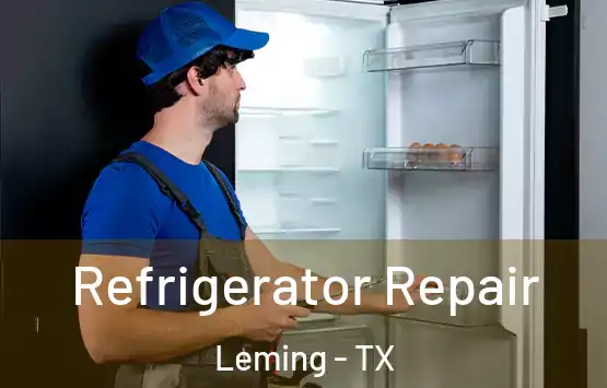  Refrigerator Repair Leming - TX