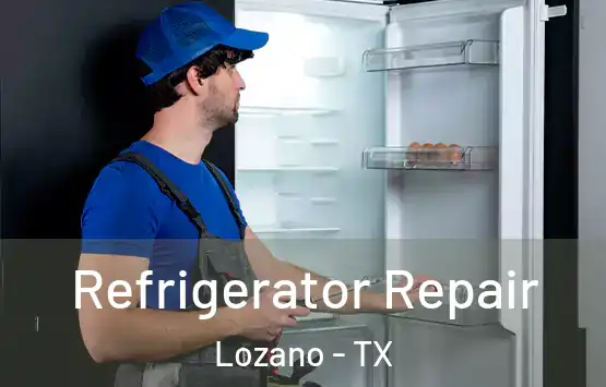  Refrigerator Repair Lozano - TX
