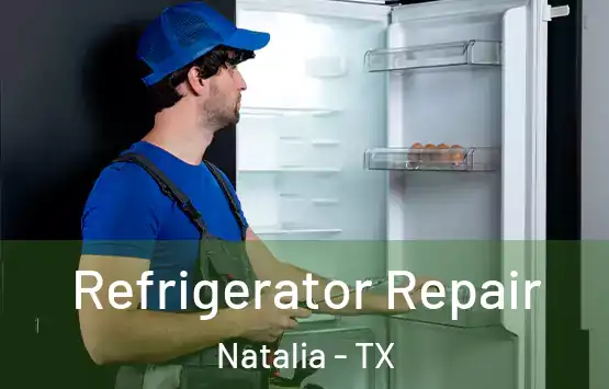  Refrigerator Repair Natalia - TX