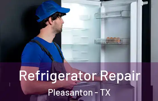  Refrigerator Repair Pleasanton - TX