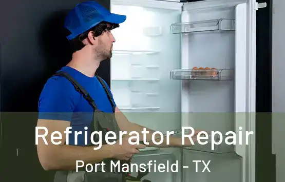  Refrigerator Repair Port Mansfield - TX