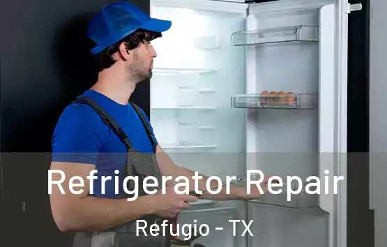  Refrigerator Repair Refugio - TX