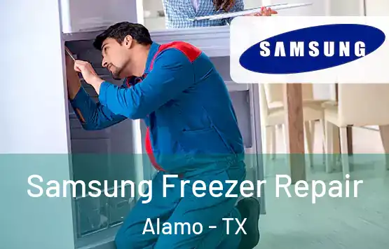  Samsung Freezer Repair Alamo - TX