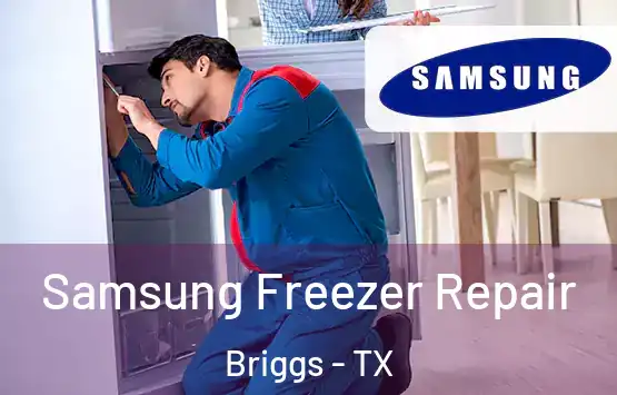  Samsung Freezer Repair Briggs - TX