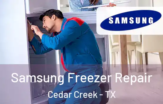  Samsung Freezer Repair Cedar Creek - TX
