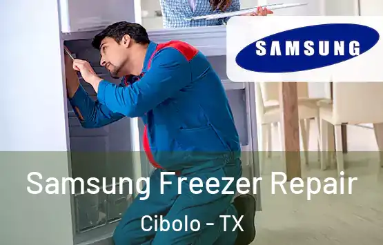  Samsung Freezer Repair Cibolo - TX