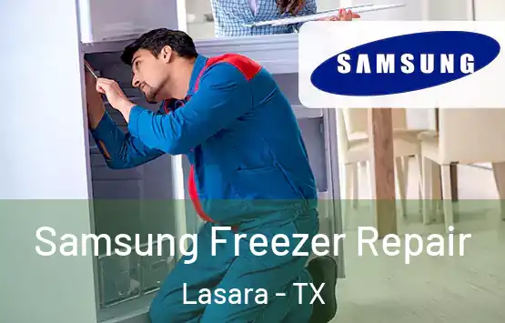  Samsung Freezer Repair Lasara - TX