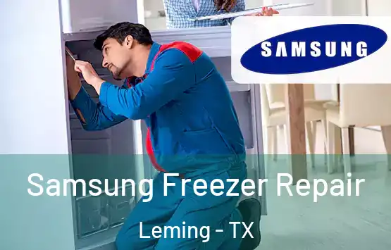  Samsung Freezer Repair Leming - TX