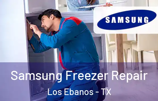  Samsung Freezer Repair Los Ebanos - TX