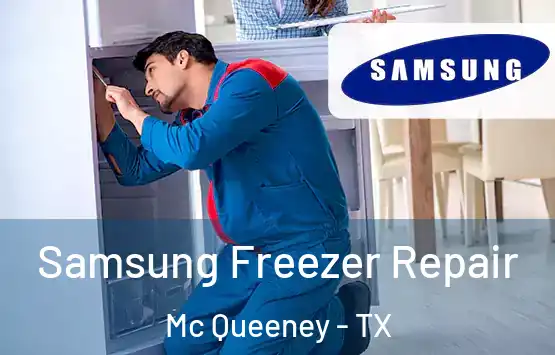  Samsung Freezer Repair Mc Queeney - TX