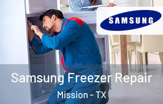  Samsung Freezer Repair Mission - TX