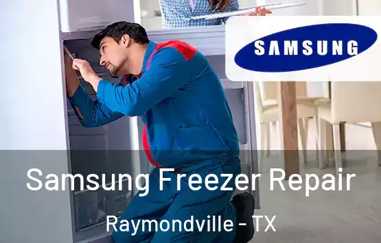 Samsung Freezer Repair Raymondville - TX