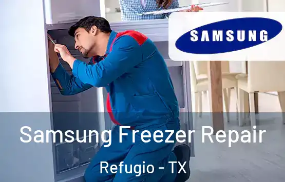  Samsung Freezer Repair Refugio - TX