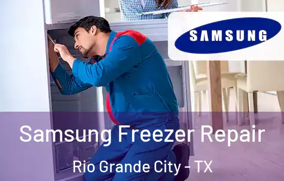  Samsung Freezer Repair Rio Grande City - TX
