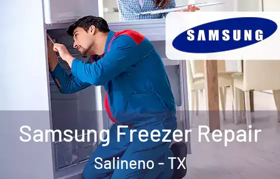  Samsung Freezer Repair Salineno - TX