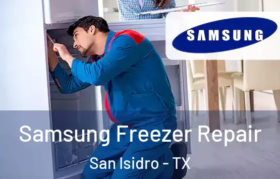  Samsung Freezer Repair San Isidro - TX