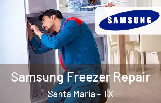  Samsung Freezer Repair Santa Maria - TX