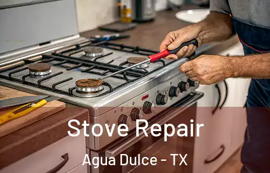  Stove Repair Agua Dulce - TX