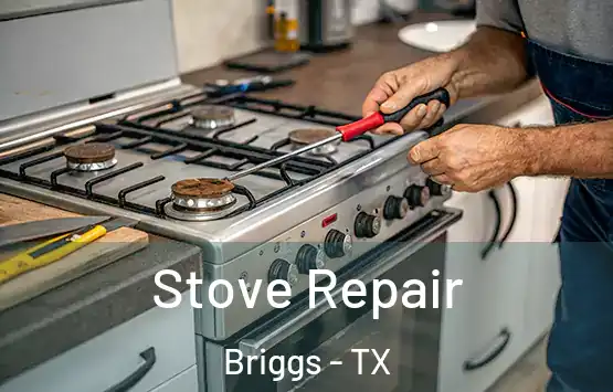  Stove Repair Briggs - TX