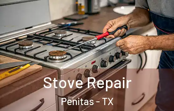  Stove Repair Penitas - TX