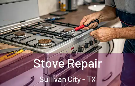  Stove Repair Sullivan City - TX